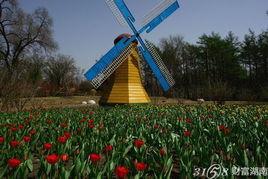 哈尔滨植物园爆料案件最新,惊现神秘命案,真相扑朔迷离! 第1张 哈尔滨植物园爆料案件最新,惊现神秘命案,真相扑朔迷离! 第1张